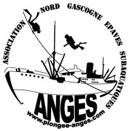 LOGO ANGES