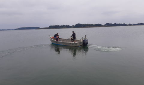 Semaine terrain sur l'île de Bailleron pour le Master GAED