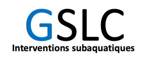 Logo GSLC