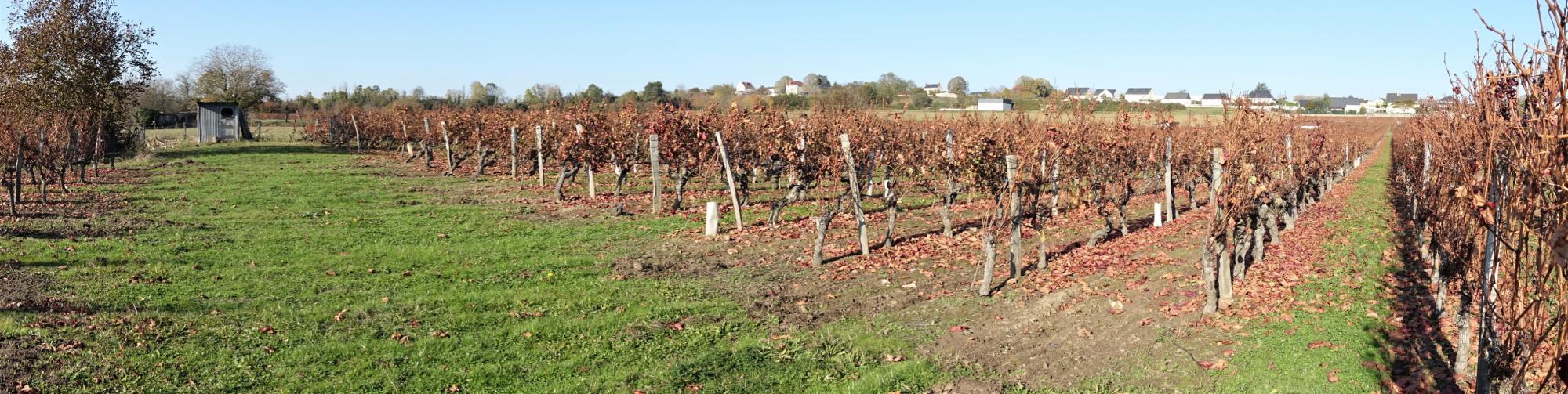 Prise de vue panoramique en milieu naturel (automne 2023)